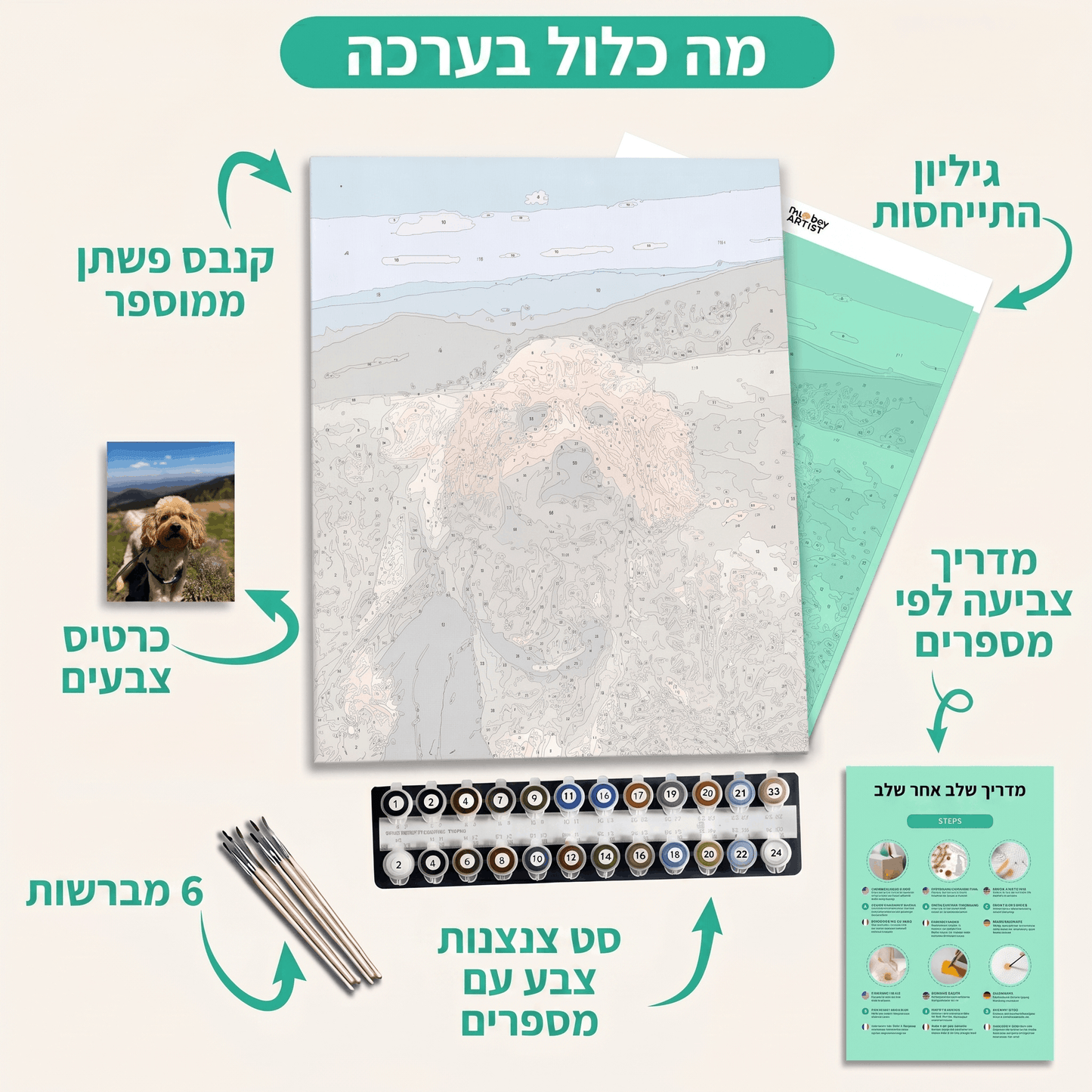 ערכת ציור לפי מספרים בהתאמה אישית